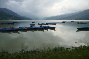 20200913-03.JPG