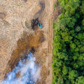 Peru: Naturschutz und Entwicklungs- zusammenarbeit im Amazonas