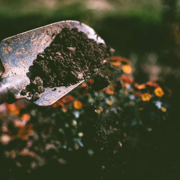 Ab sofort: Gartenbau im Ehrenamt
